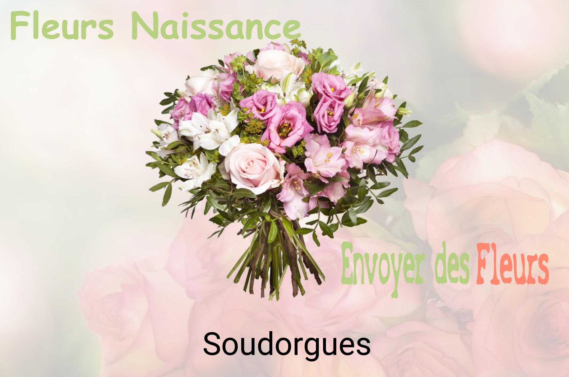 Bouquet de fleurs de naissance livré à Soudorgues